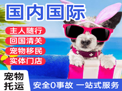 柳州白莲航空运输国际宠物托运 【国